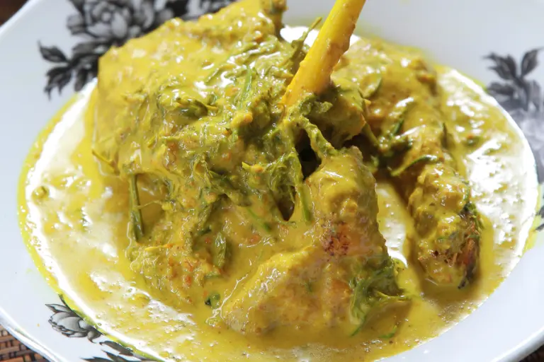 Resipi ayam kampung masak lemak pucuk petai