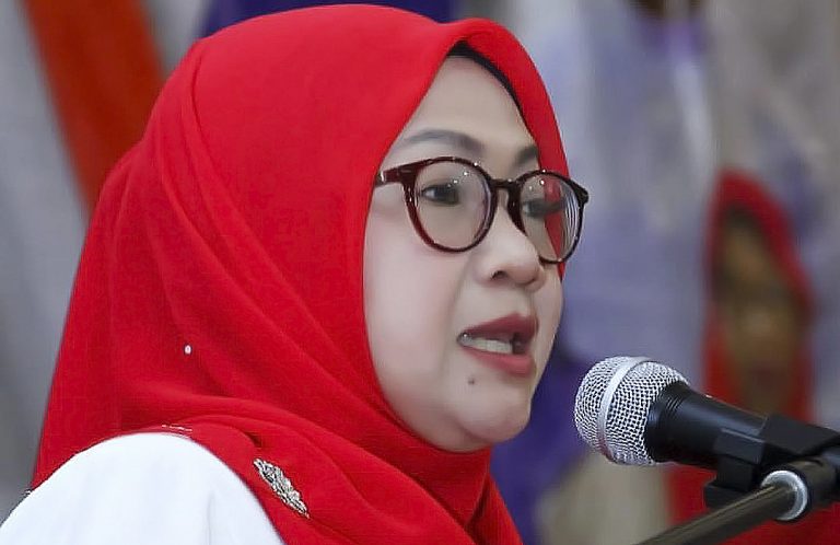UMNO sukar bersendirian, perlu kerjasama untuk menang – Norshida