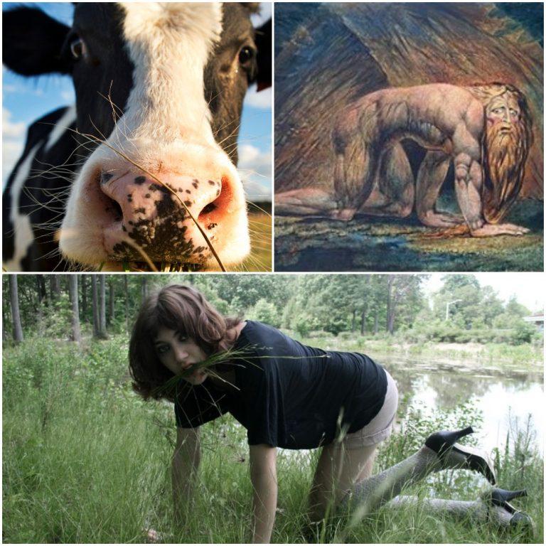 Boanthropy, manusia yang merasa dirinya seperti seekor lembu