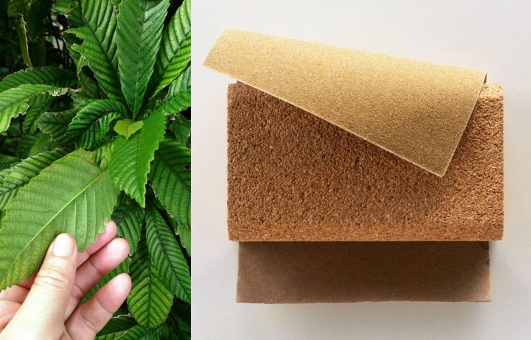 Secebis kisah daun mempelas sebelum terciptanya kertas pasir