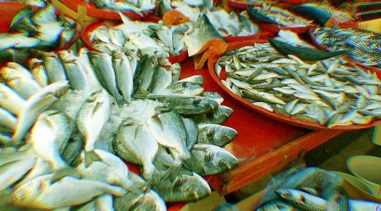 Di sini menjual ikan segar…