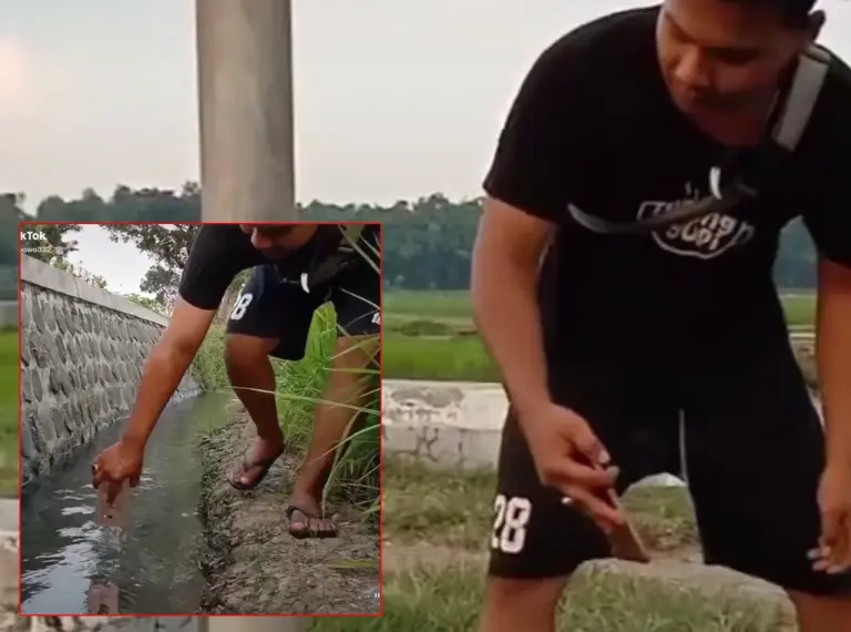 Tutorial sinematik