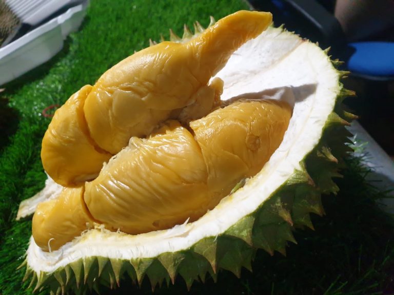 Dakwaan tak benar, jangan sampai tak ambil vaksin sebab nak makan durian