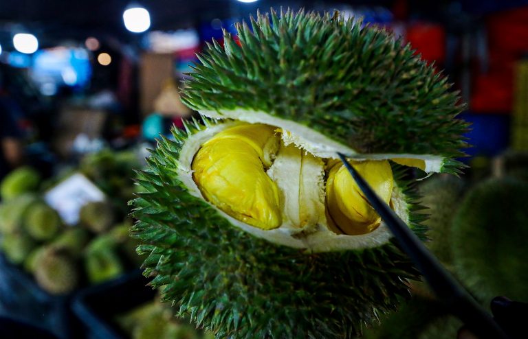 Macam-macam cara scammer menipu, terbaharu tawar jualan durian murah guna FB, IG