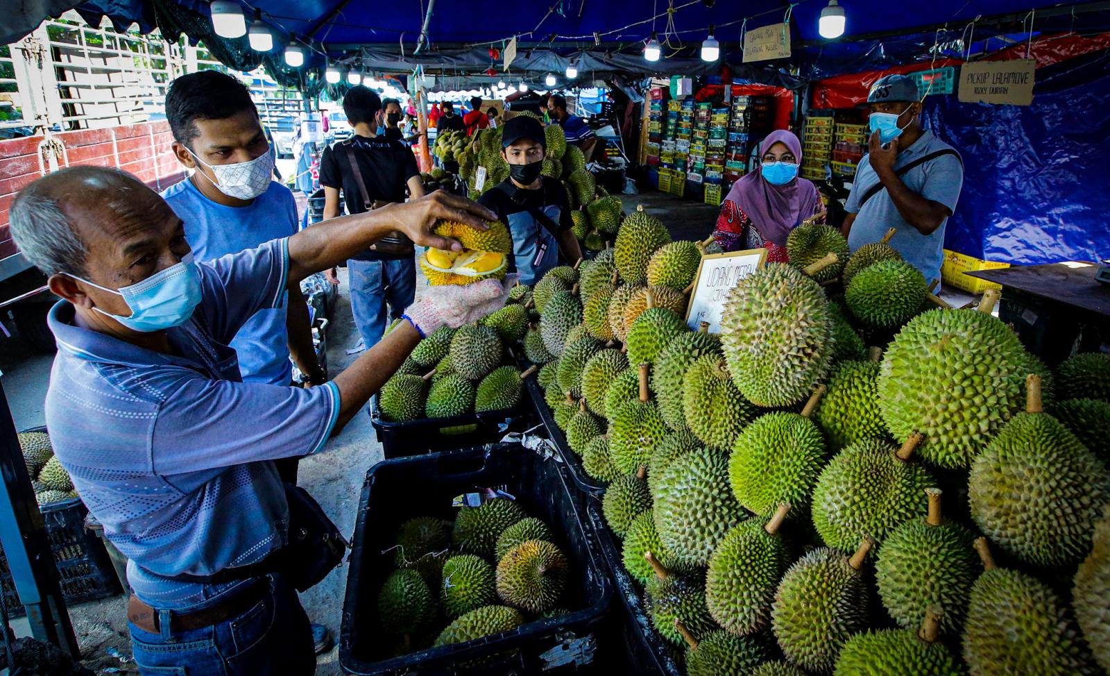 Udang Merah Percuma Untuk Ibu Mengandung Utusantv