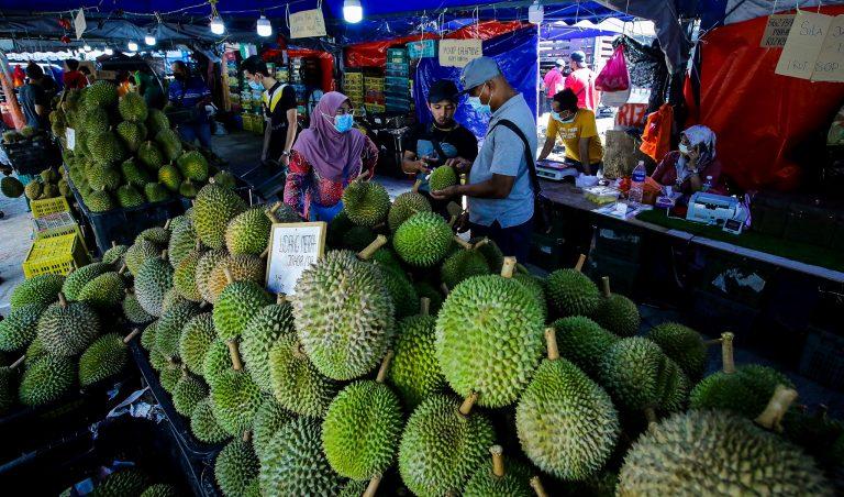 Nilai eksport durian RM1.176 bilion pada 2024