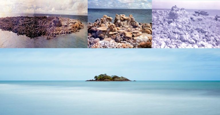 The Lost World Pulau Batu Hairan. Pulau misteri yang timbul dan hilang di perairan Sabah