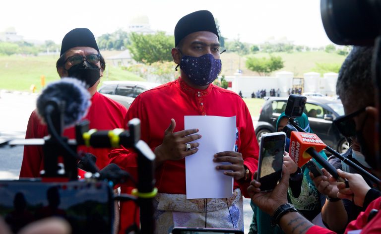PSUAM mohon Agong beri pengampunan kepada Najib, lantik jadi PM interim
