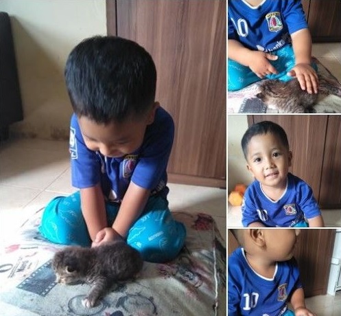 anak kucing