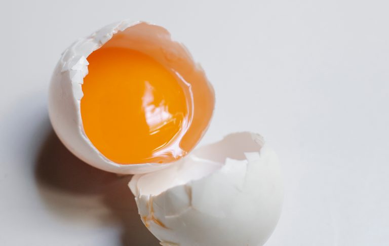 telur