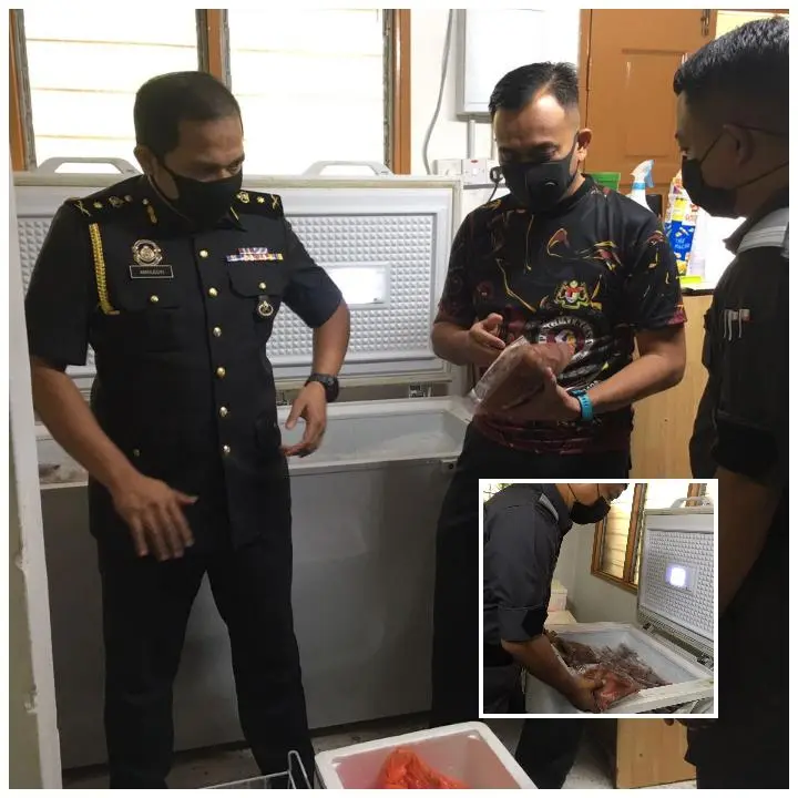 Daging rusa rupanya kerbau