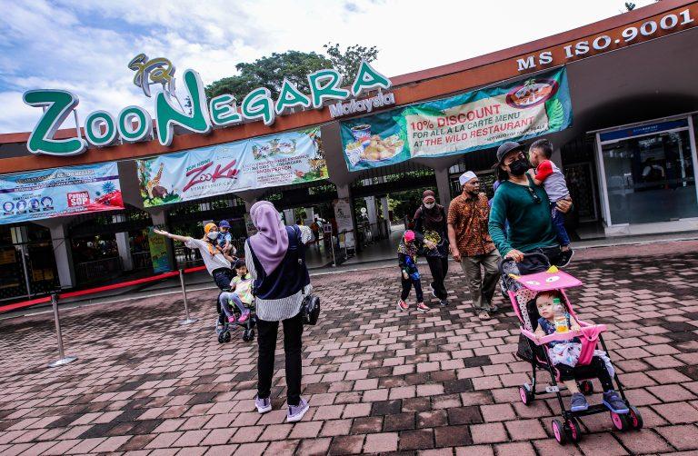 ‘Harimau kurus’: Zoo Negara nafi haiwan dibiar kelaparan, tidak terurus