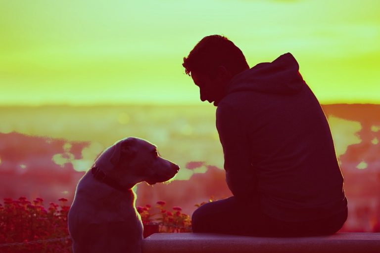 Kisah anjing yang menyelamatkan tuannya