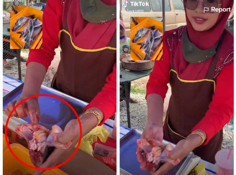 Gara-gara dedah ‘rahsia’ ikan patin kolam dengan sangkar , netizen serbu TikTok pemuda ini