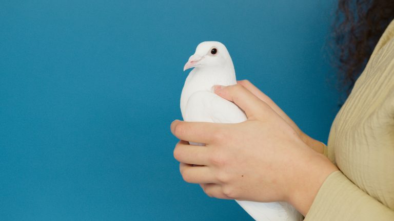 Part II – Cantik dengan cara aneh. Ular dan najis burung kekal muda dan mulus