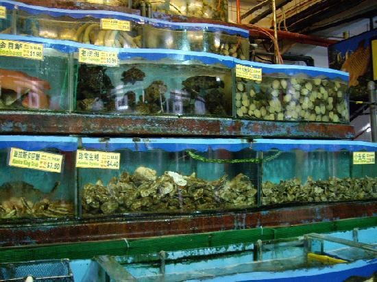 Ini cara orang Cina pesan seafood. Pesan terus nak berapa kilo!