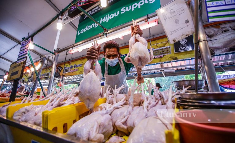 Ayam: Bekalan untuk rakyat diutamakan, Singapura tak apa ada ayam Brazil