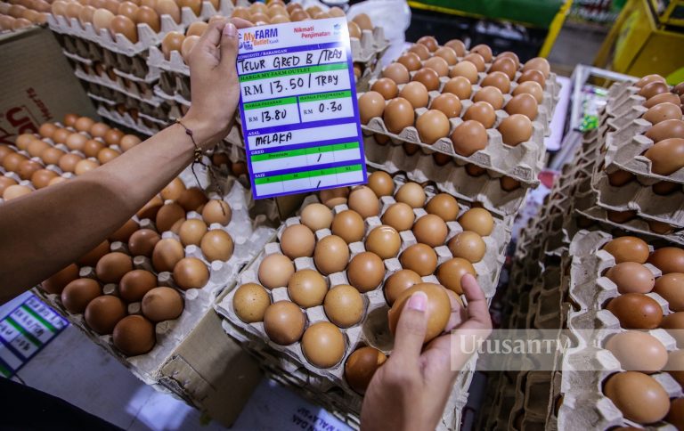 Kerajaan Selangor runding dengan pengeluar, turunkan harga telur ayam