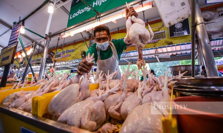 Kerajaan benar import ayam sehingga 10,000 tan metrik