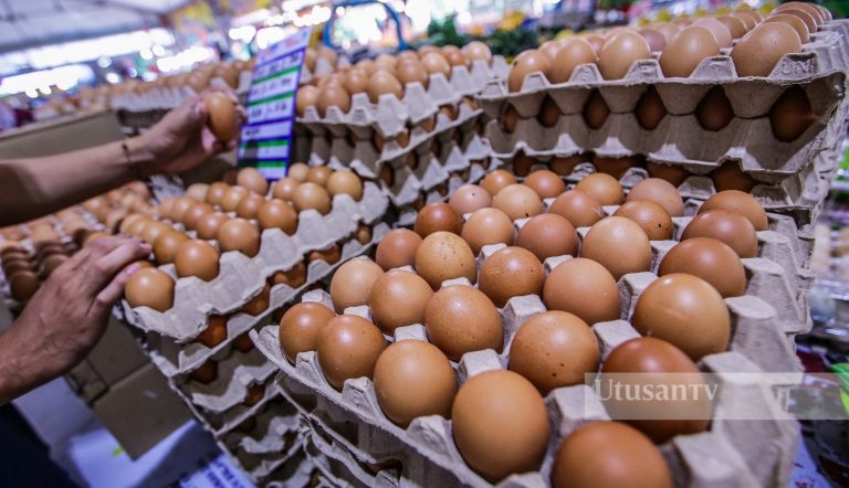 Bekalan telur, ayam akan pulih selepas cuti panjang Tahun Baharu Cina – KPDNHEP