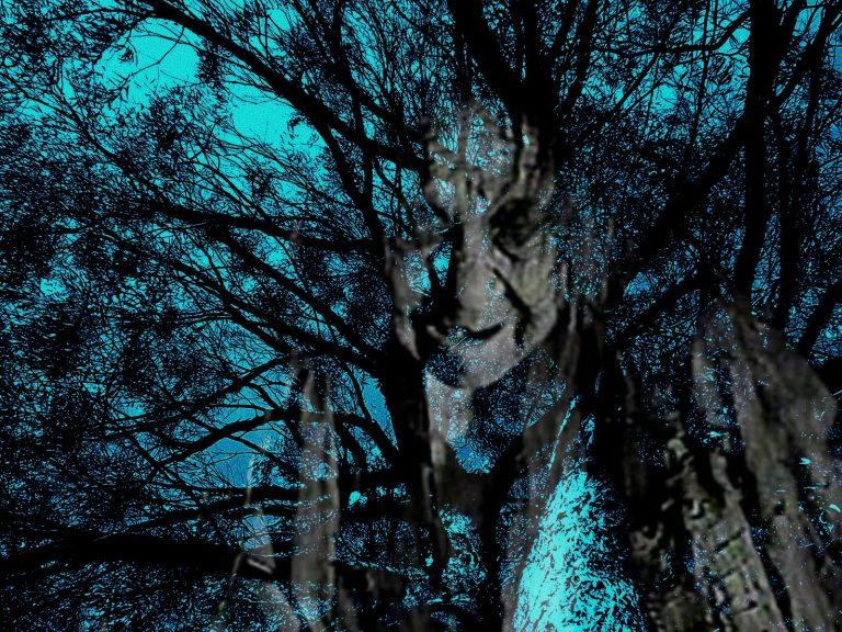 Misteri perempuan tua di sebalik pokok kemang