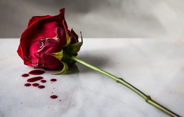 Tragedi Valentine, hari kekasih yang menumpahkan darah