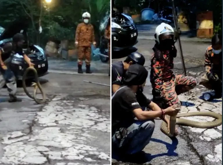 [VIDEO] Ini bukan yang pertama, kata penduduk selepas tedung selar ‘tumpang’ kereta