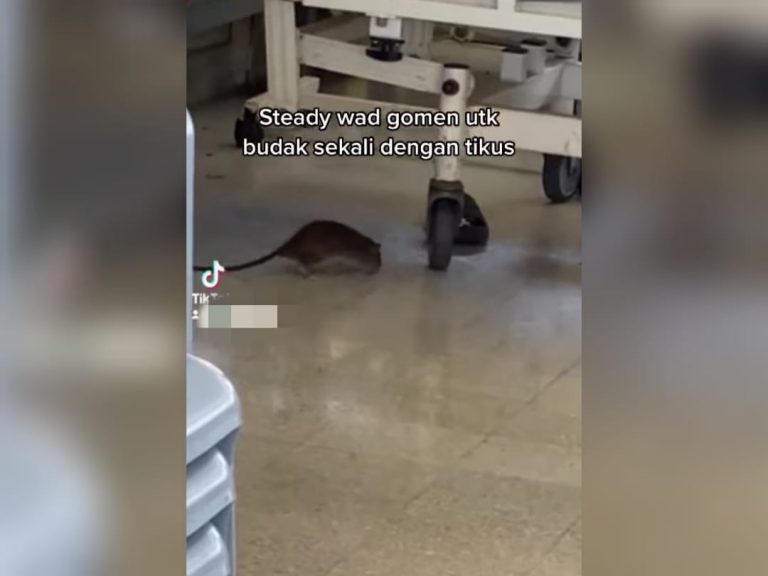 Video tular tikus berkeliaran, HTJS titik berat penjagaan kesihatan