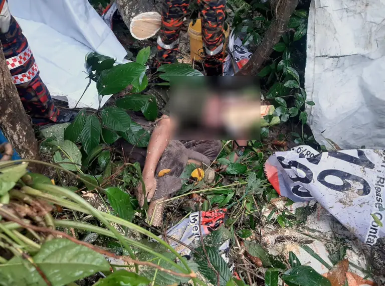 Warga emas maut dihempap pokok dekat Hulu Langat