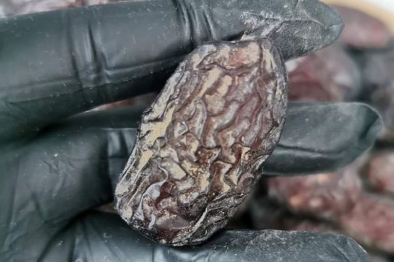 Ini cara cuci kurma bagi kekalkan kesegaran dan tetap juicy. Barulah bersih sebelum makan