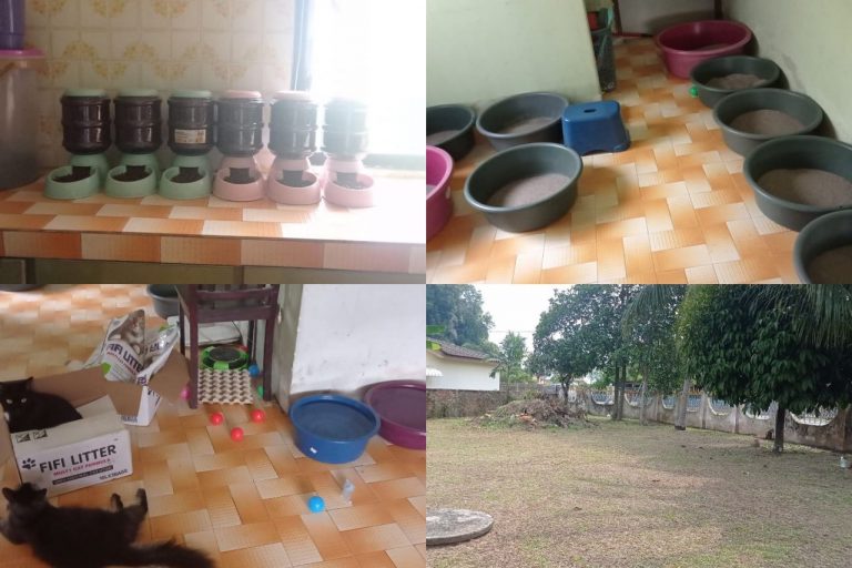 Nak balik kampung? Wanita ini kongsi tip tinggalkan 21 ekor ‘majikan’ di rumah dengan selamat