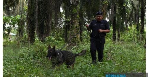 Lari depot: 448 sudah jumpa, lagi 80 sedang diburu