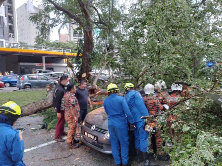 Wanita patah kaki selepas kereta dihempap pokok