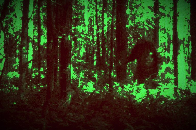 Kisah ‘Bigfoot’ di Pulau Jerejak