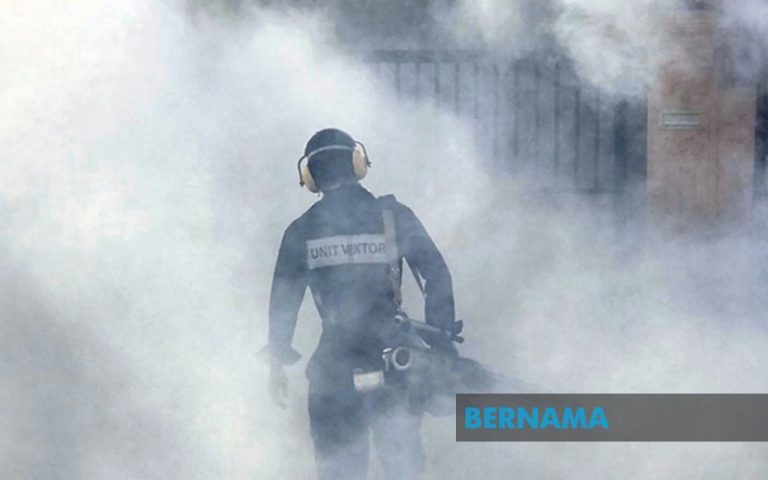 Denggi: 1,074 kes dan sembilan kematian direkodkan