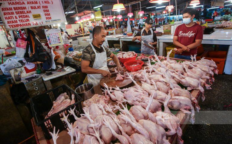 Tiga komoditi berasaskan ayam diberi kebenaran khas eksport