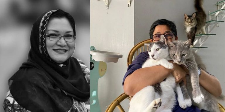 Pembantu peribadi, ahli keluarga akan ambil tanggungjawab jaga kucing Adibah Noor