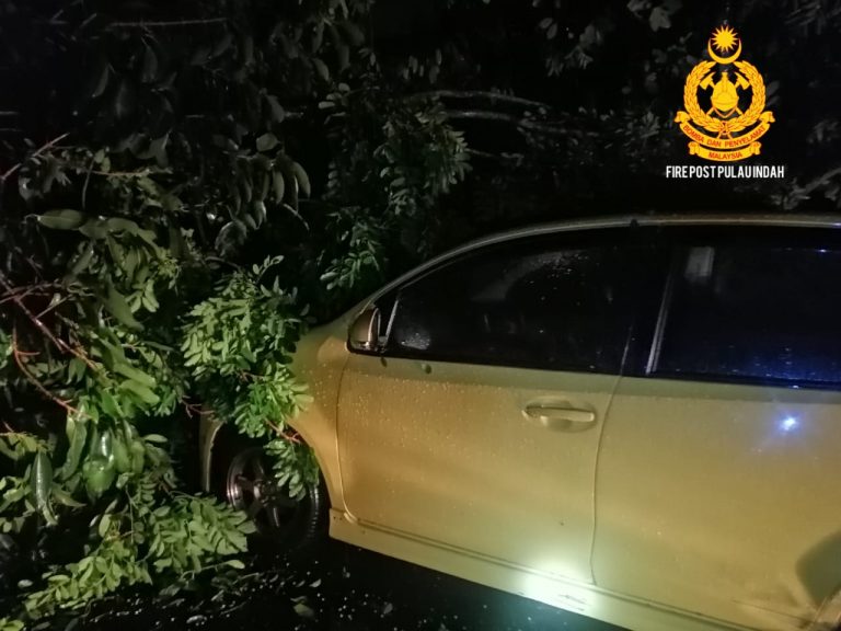 Pokok tumbang hempap empat kenderaan dekat Pulau Indah