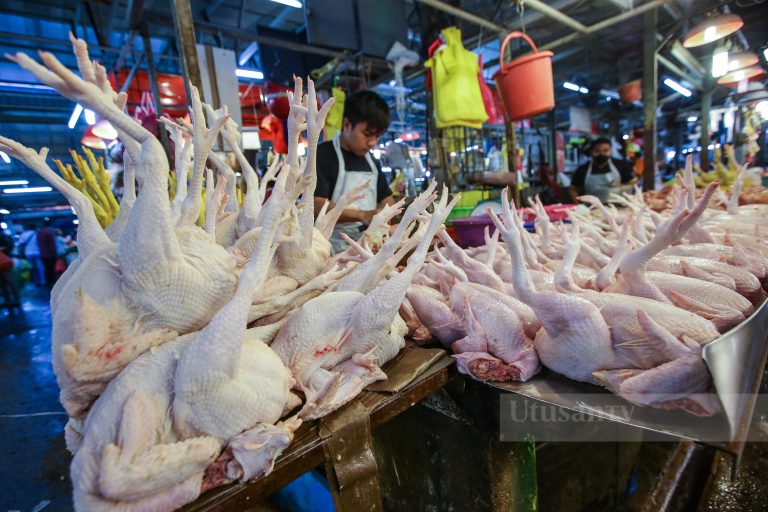 Menjawab Rafizi: Membendung Kenaikan Harga dengan Penurunan Permintaan?