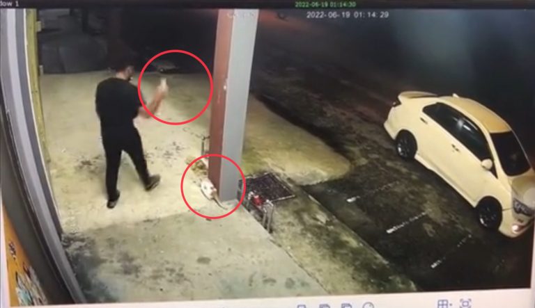 Lelaki seksa kucing ditahan polis