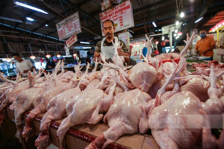 Pengapungan harga ayam: Kerajaan yakin kenaikan harga mendadak tidak berlaku