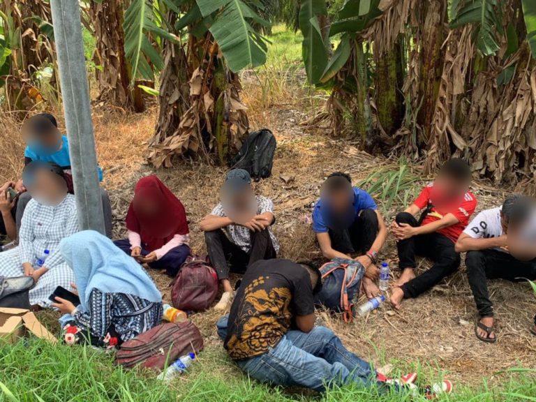 Tekong darat cuba seludup 21 orang PATI ditahan polis