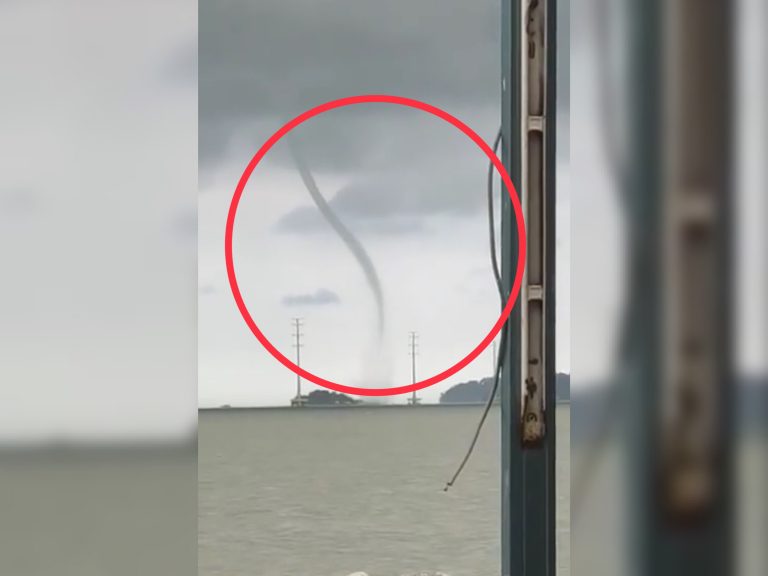 Kecoh rakaman belalai air di Pantai Siring, Melaka