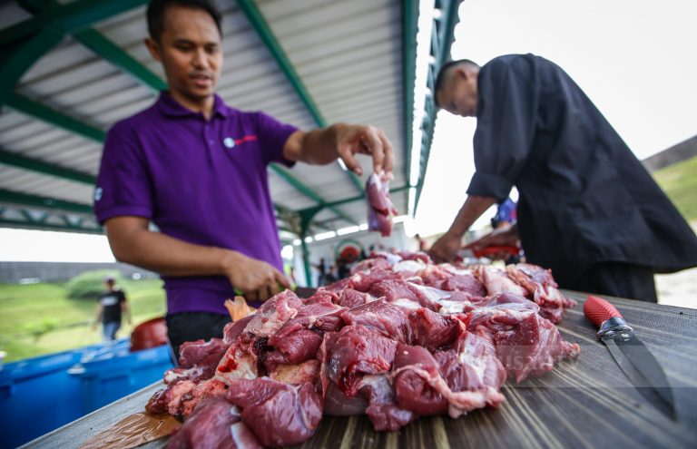 Bekalan ternakan dalam negara mencukupi tampung permintaan sembelihan bagi tujuan korban – KPKM