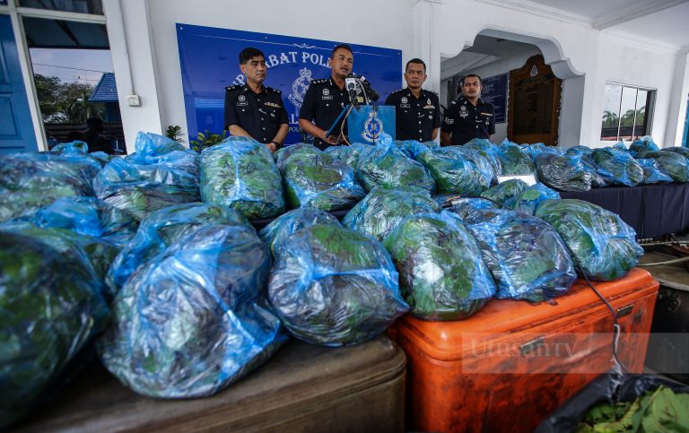 Polis rampas ketum bernilai RM10,140 di Kelana Jaya
