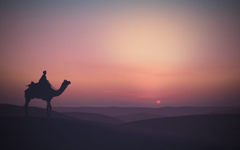 5 haiwan dalam kisah Hijrah Rasulullah SAW
