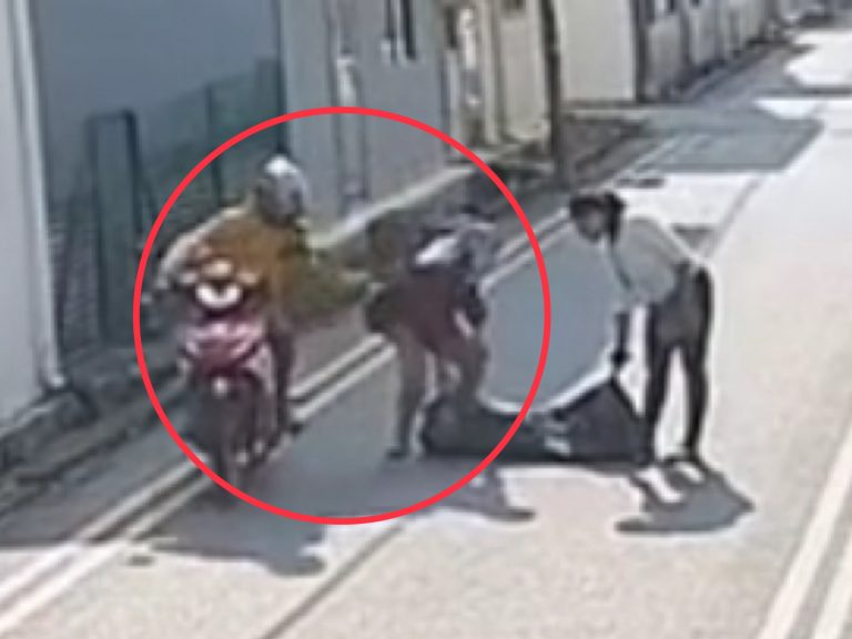 Peragut Taman Sentosa, JB dicekup polis