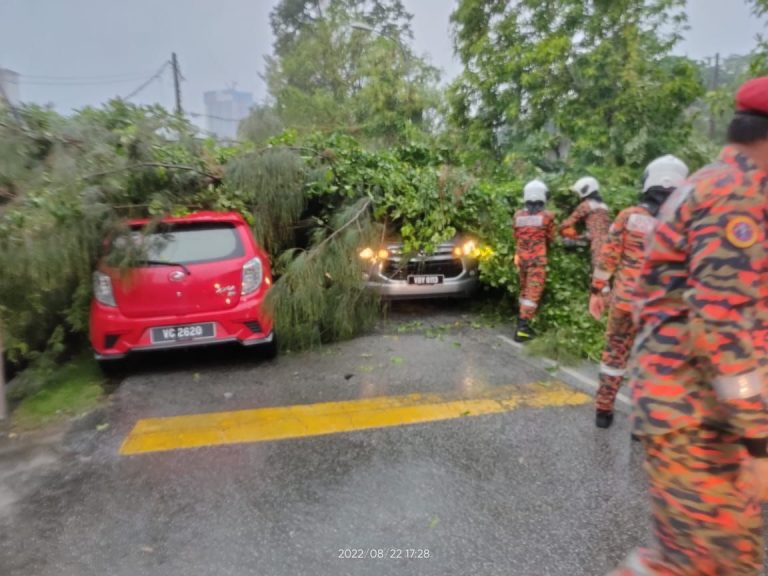 Enam kereta rosak dihempap pokok akibat angin kencang di KL