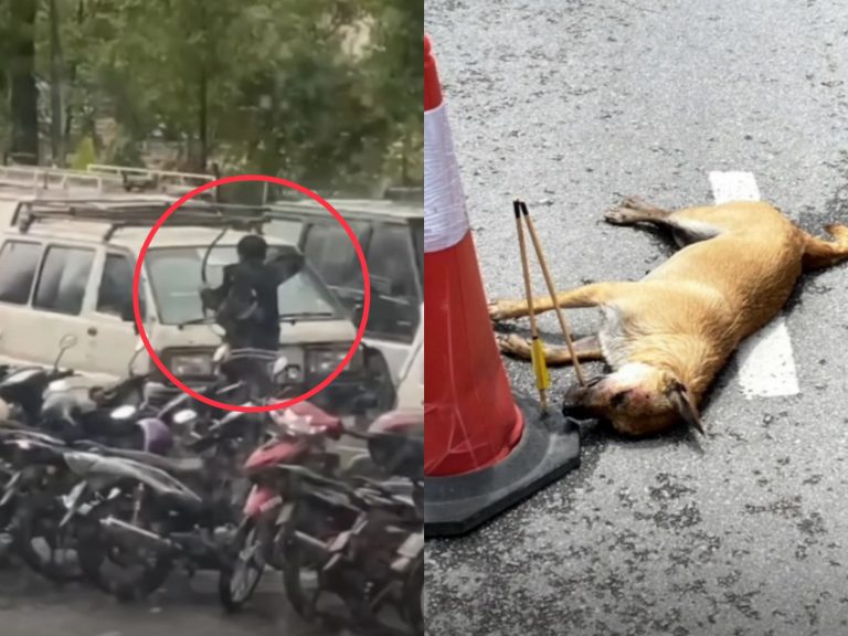 Panah anjing hingga mati, polis buka kertas siasatan