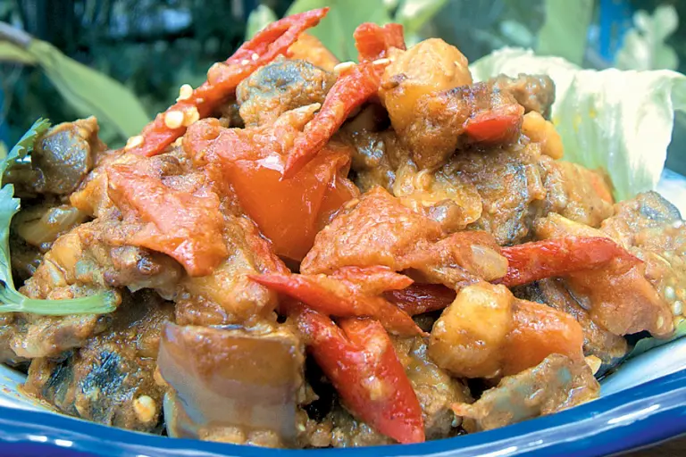 Resipi kalio campuran